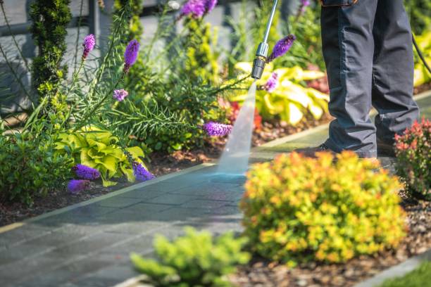 Best Soft Washing for Delicate Surfaces in Bellerose, NY